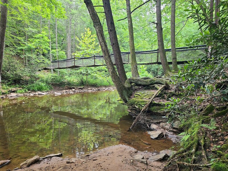 Trough Creek State Park Suspension Bridge (James Creek)