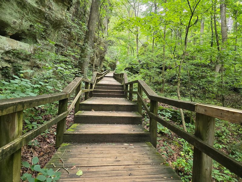 Ferne Clyffe State Park