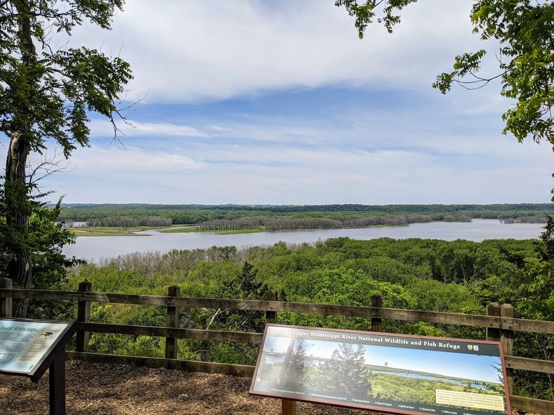 Mississippi Palisades State Park: A Scenic Wonder Worth Knowing