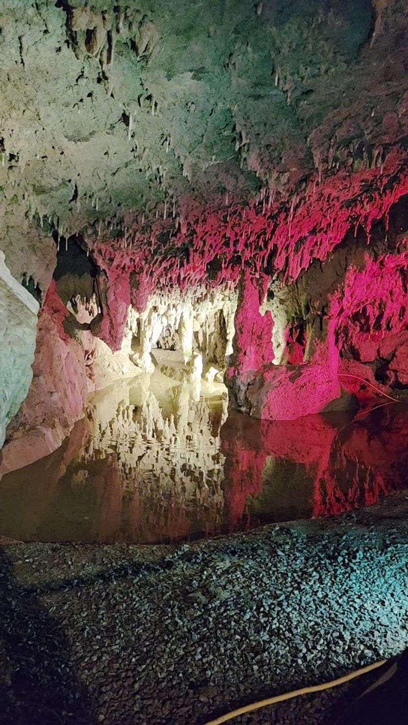 Woodward Cave (Woodward)