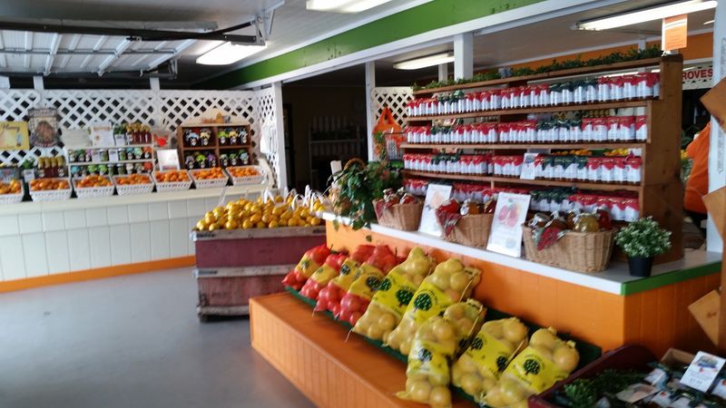 Shipping Citrus To Friends