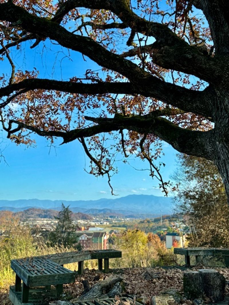 Seasonal Tips And Weather Smarts