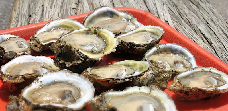 Indian Pass Raw Bar - Port St. Joe, FL