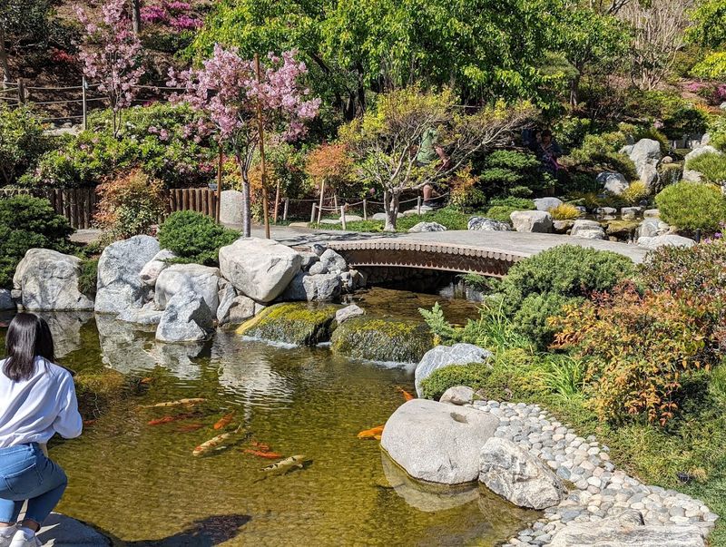 Japanese Friendship Garden, Balboa Park, San Diego