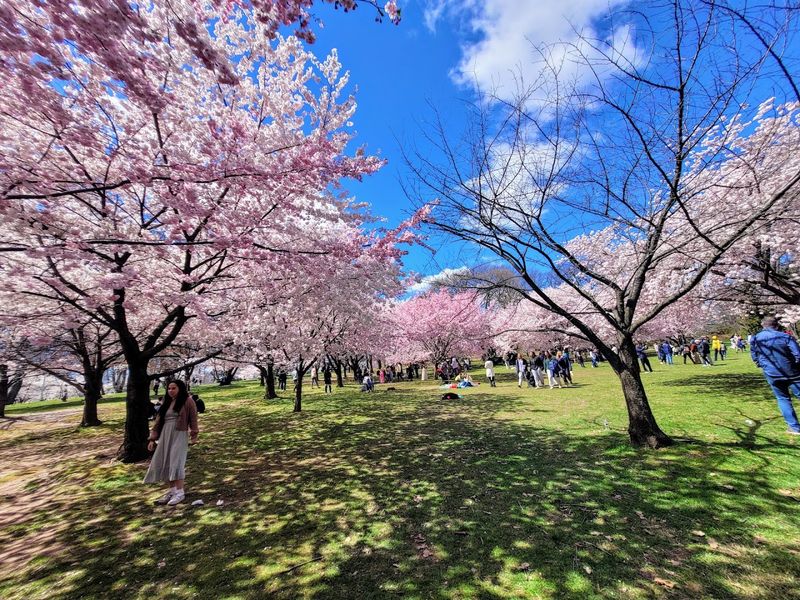 Branch Brook Park, Newark, New Jersey