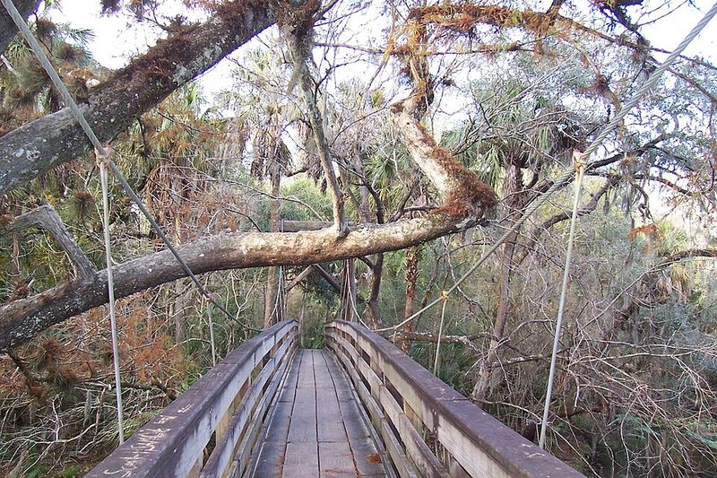 Hillsborough River State Park