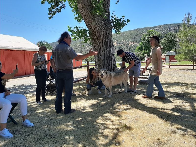 Walk Among the Wolves' Territory