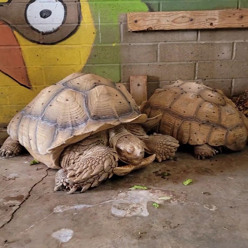 Book Smart: Timing and Weather