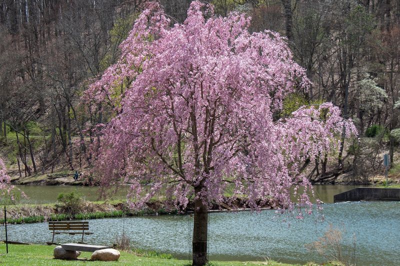 North Park &ndash; Pittsburgh