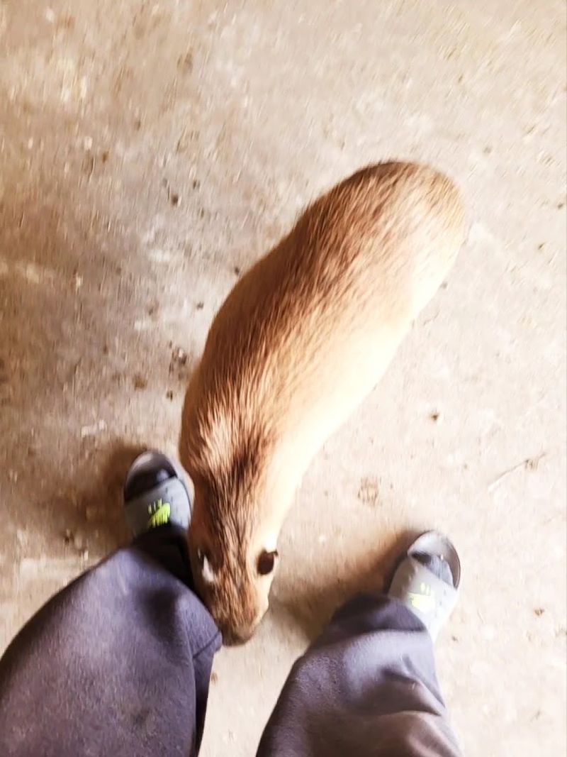 Photography Without Stress