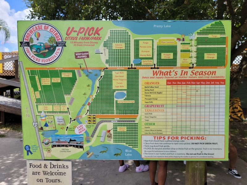 Accessibility and Planning Essentials