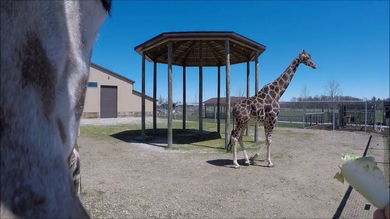 Cleanliness, Wayfinding, and Comfort