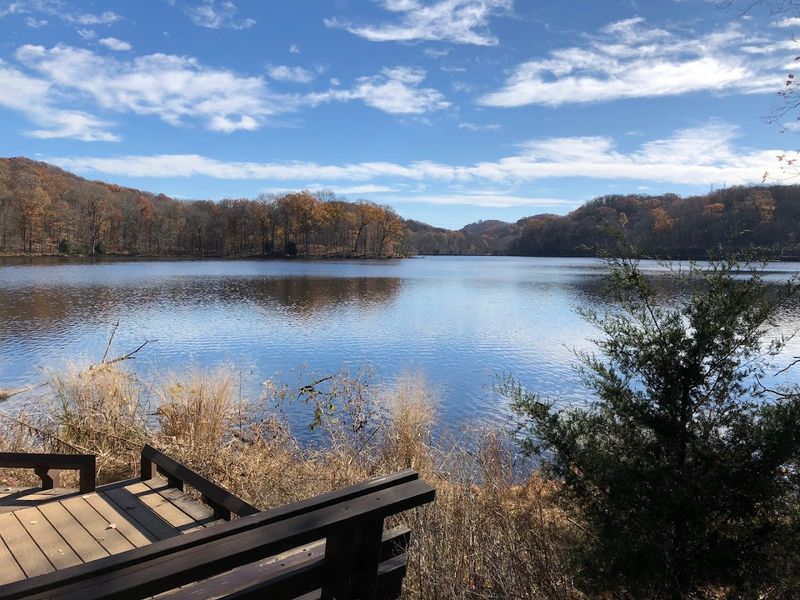 Radnor Lake State Park, Nashville