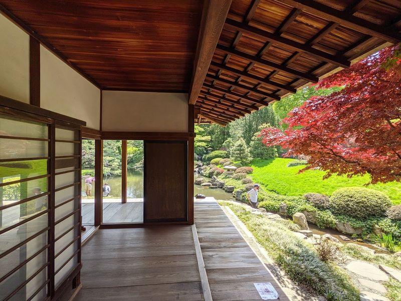 The Veranda: Where Time Slows Down Completely