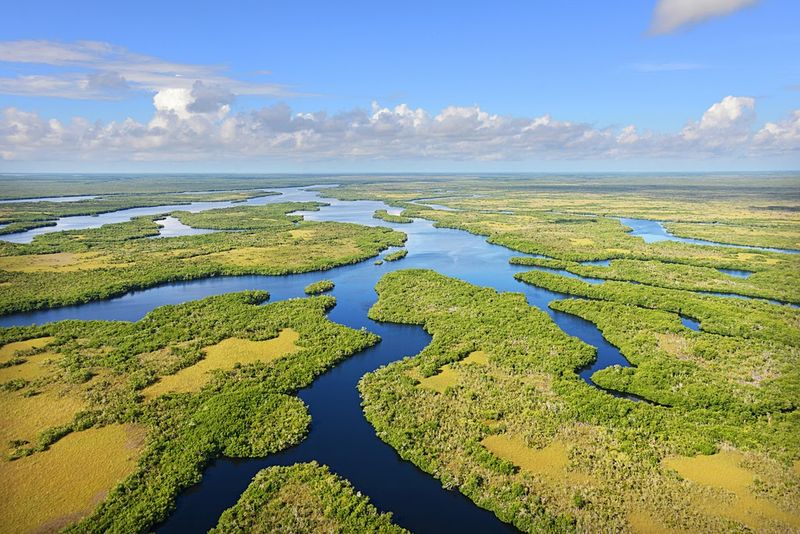 Everglades National Park — South Florida