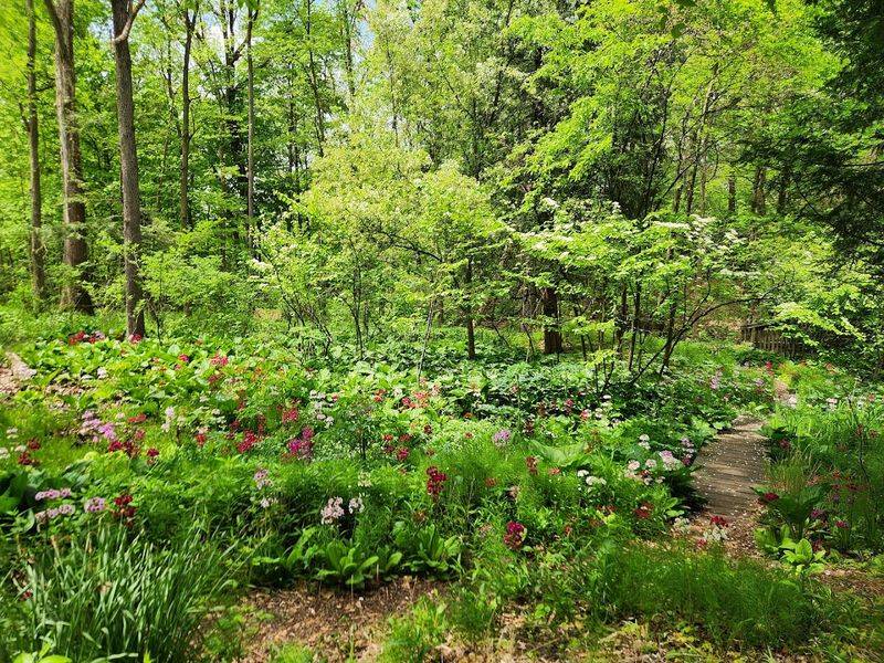 Birdwatching Hotspots And Seasons