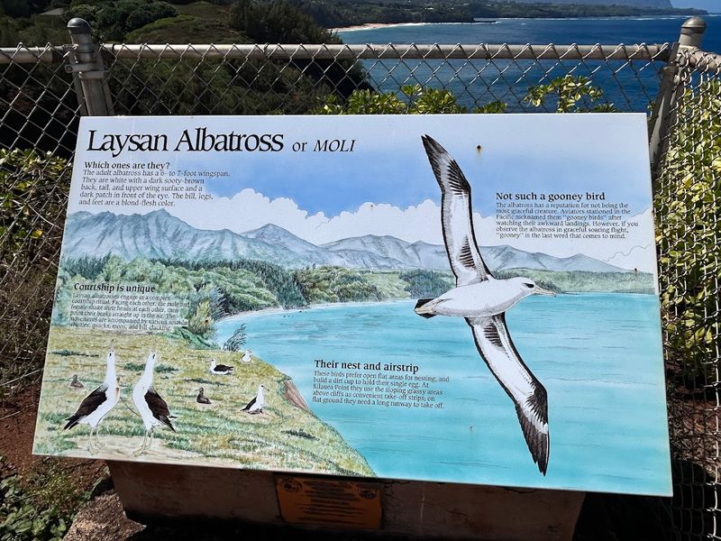 Kilauea Point National Wildlife Refuge, Hawaii