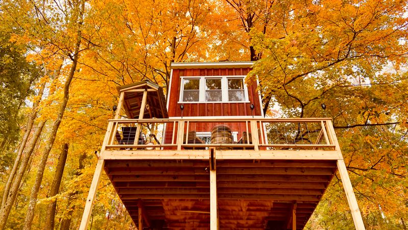 Bear Back Brooke Treehouse