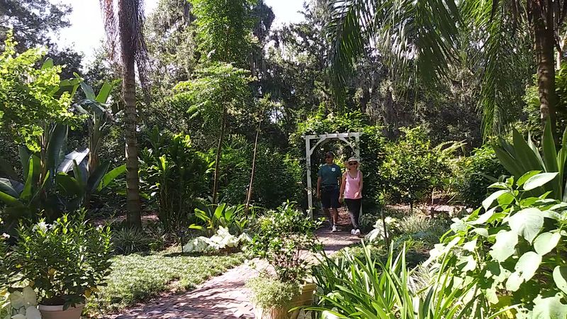 Tropical Garden Section: Bold Plants From Around the World