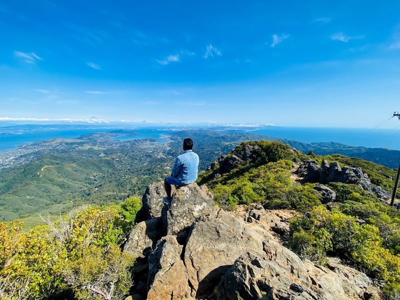Mount Tamalpais: Dipsea-Steep Ravine-Matt Davis Loop