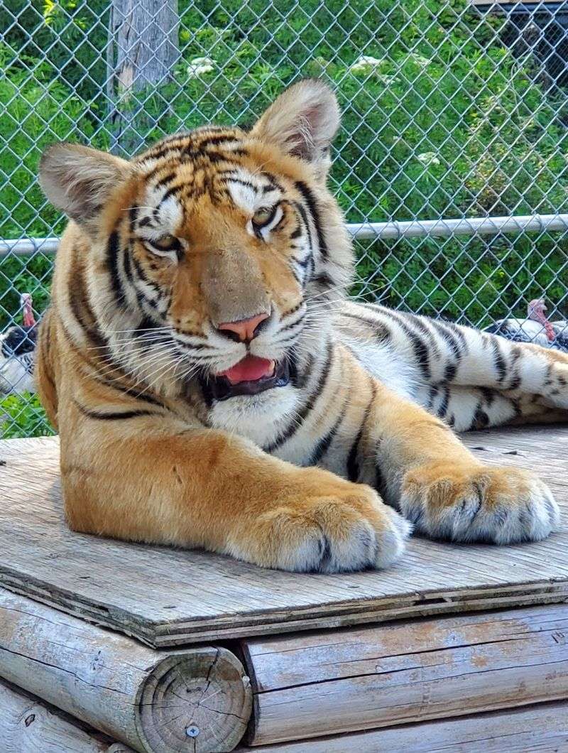 How To Book Your Tour