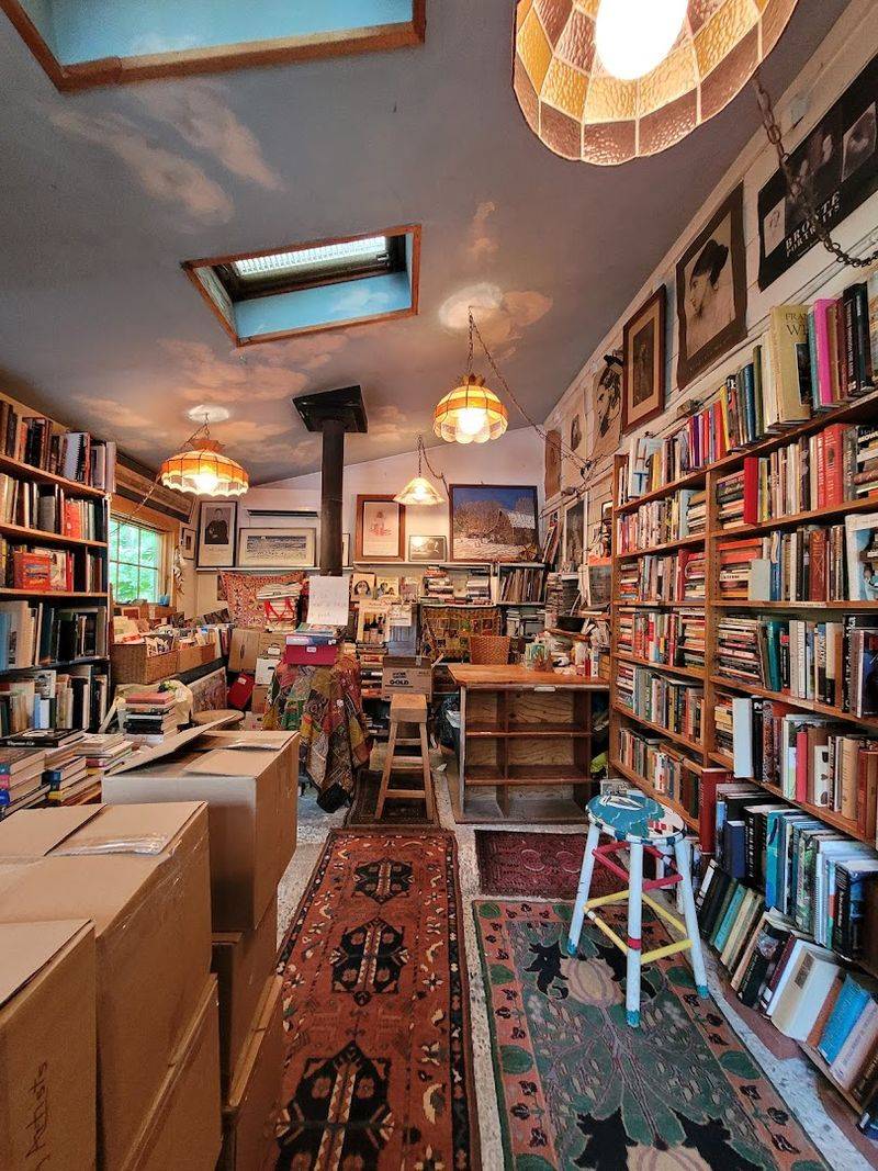 Genres, Depth, And The Thrill Of The Unexpected