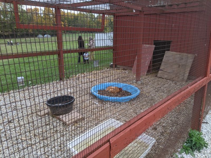 Conservation and Animal Care Practices