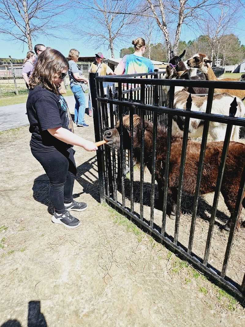 Guided Tours Led by Knowledgeable and Passionate Staff