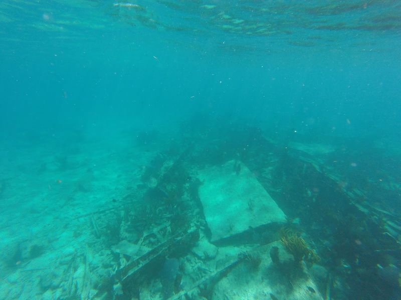 The Fateful Voyage of New Year's Day 1966