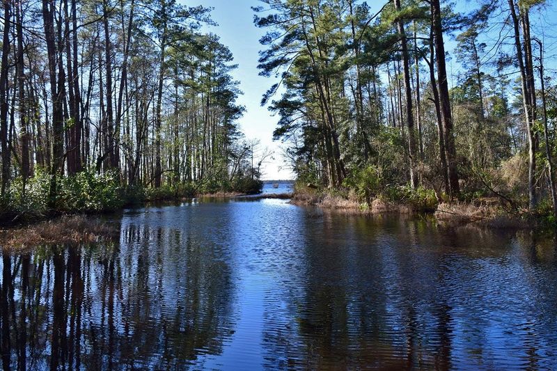 Singletary Lake State Park