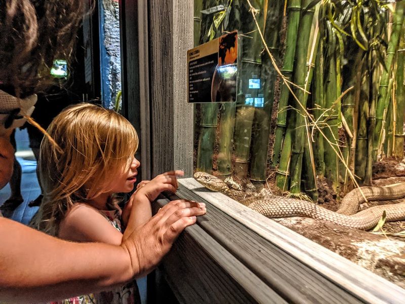 Educational Programs Included with Admission