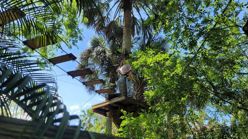 Zip Lining Over Alligators for a One-of-a-Kind Thrill
