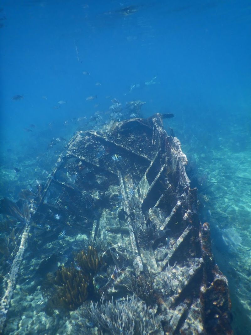Historic Shipwrecks Along the Maritime Heritage Trail