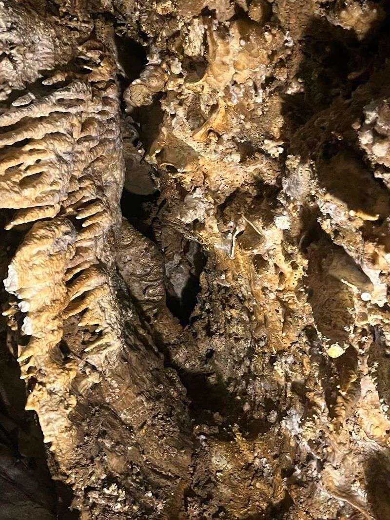 Etiquette That Preserves The Cave