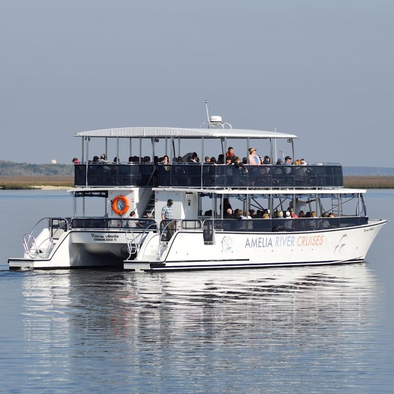 Amelia River Cruises and Eco Tours