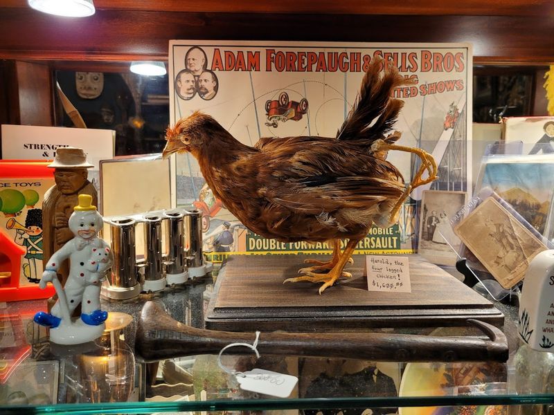 Interactive Displays and Photo-Worthy Moments