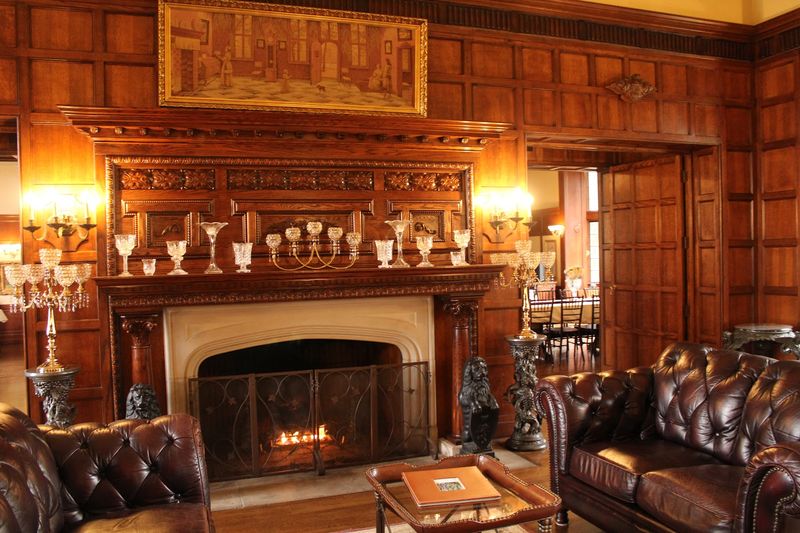 Guest Experience Insights