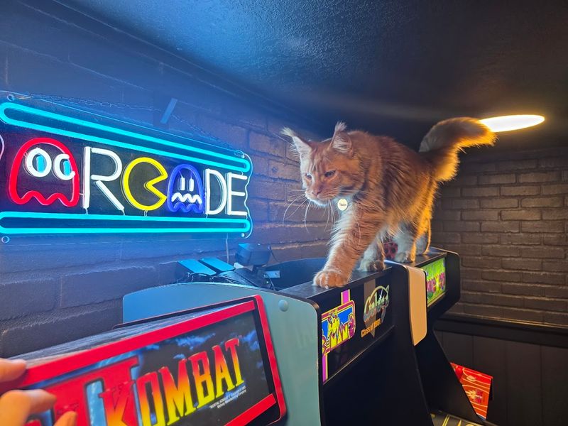 Merch, Arcade Games, and Extra Amenities