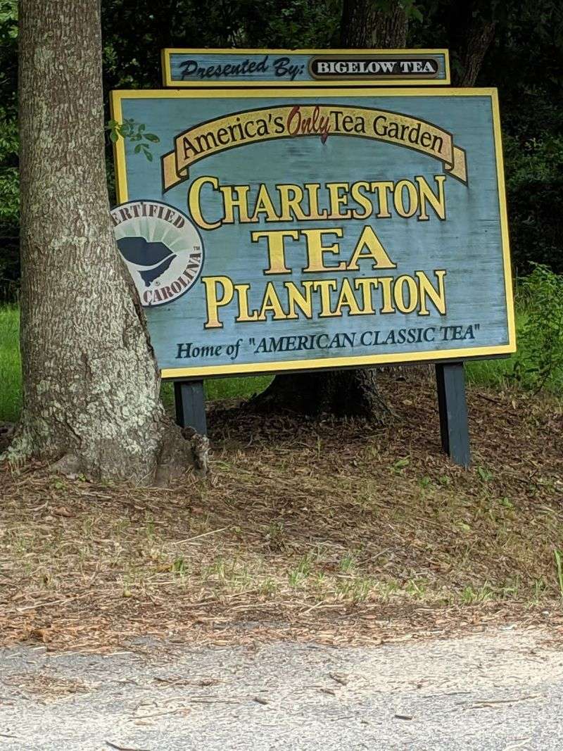 Sustainability, History, And Why This Place Is Singular