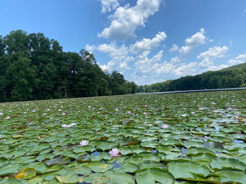 French Creek State Park