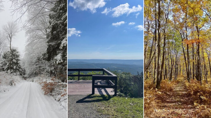 Lose Yourself in 24,000 Acres of Untamed Pennsylvania Wilderness Where Trails Seem Endless