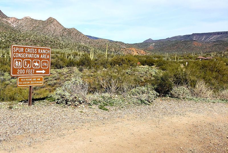 Spur Cross Conservation Area: Dragonfly Loop (Cave Creek)