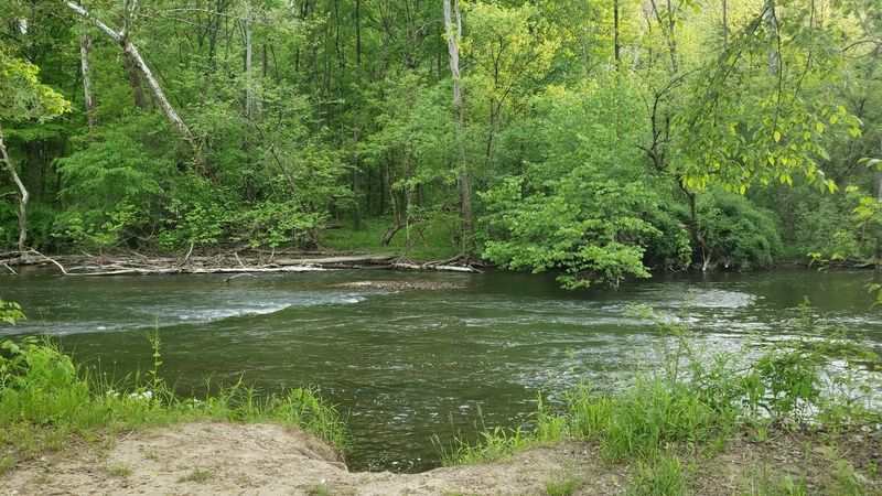 Clear Fork of the Mohican River: Kayaking and Canoeing