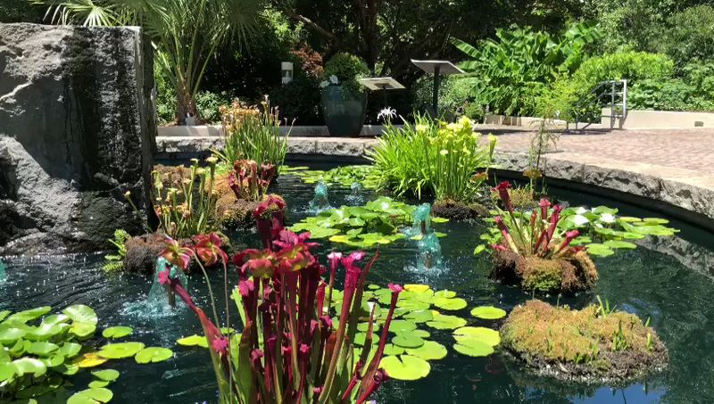 State Botanical Garden of Georgia, Athens