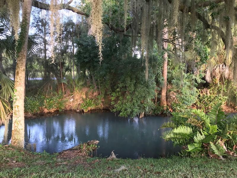 Warm Mineral Springs Park