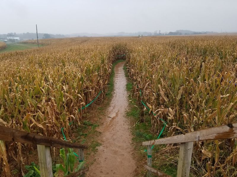 Family Fun Park and Epic Corn Maze