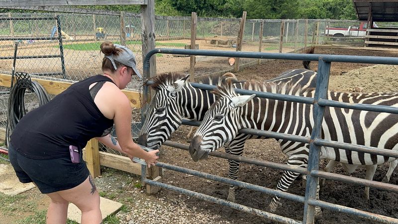 Why It Stands Out in North Carolina