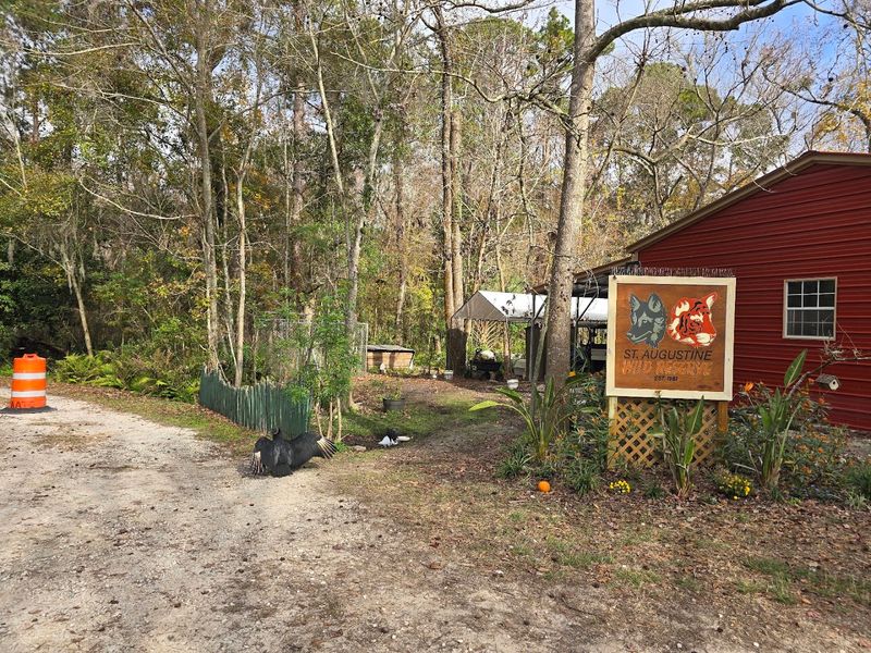 Best Times To Visit And What To Bring