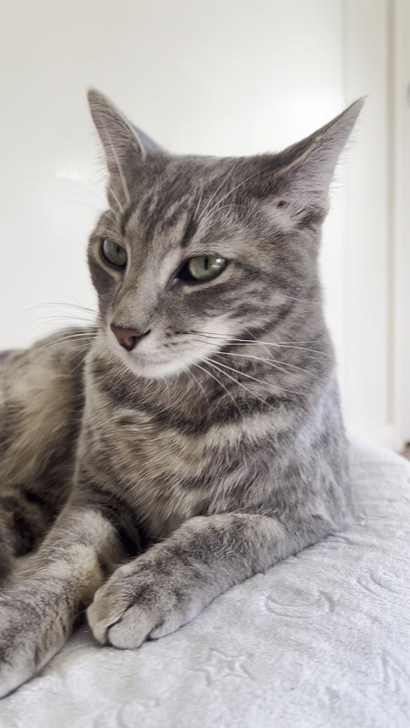 The Famous Sleepover Program (Yes, It Is Real)