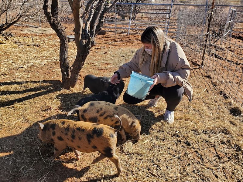 Baby Animal Encounters You Will Not Forget